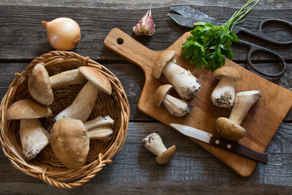 Как сохранить грибы на зиму?