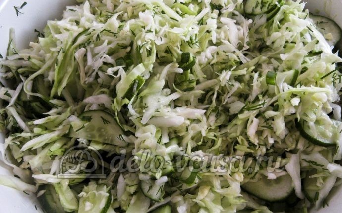 Салат капуста и огурец рецепт с фото
