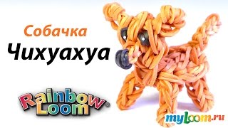 Чихуахуа Собачка из резинок Rainbow Loom Bands. Урок 297 | Chihuahua dog Rainbow Loom