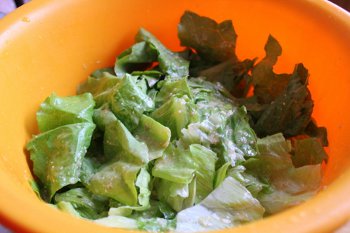 Порванные листья салата перемешанные со смесью из анчоусов сыра и чеснока