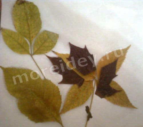 аппликации из осенних листьев фото