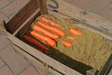 Ящики для моркови