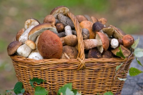 Маринованные грибы: 5 лучших рецептов