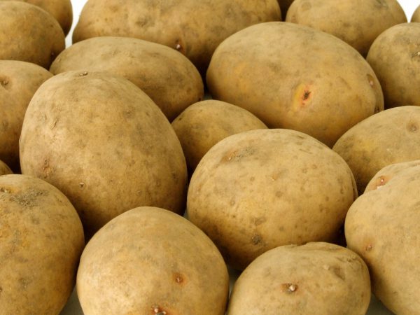 Как хранить в погребе картофель