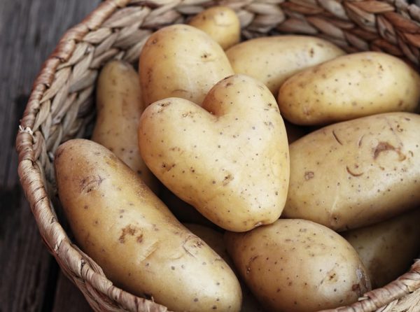 Как хранить в погребе картофель