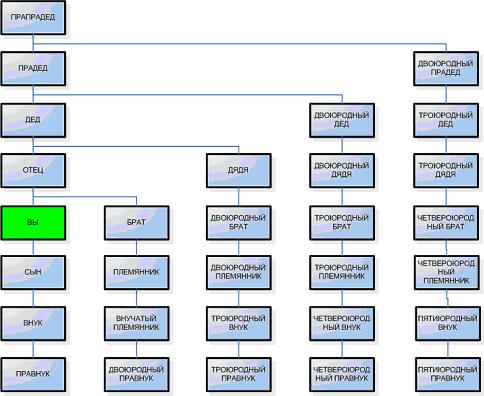 Схема составления генеалогического дерева