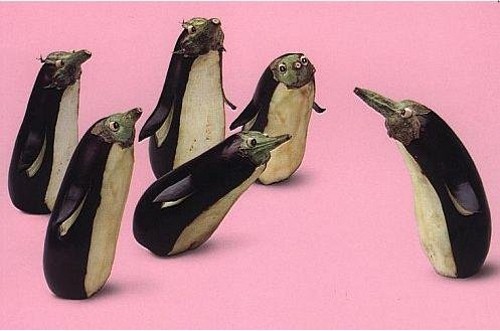 Маленькие пингвины