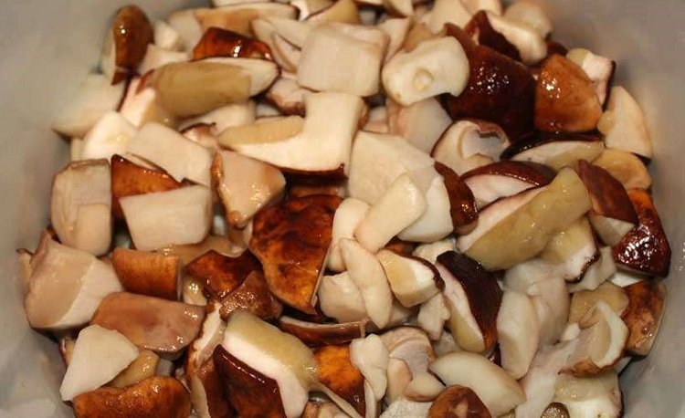 как правильно готовить грибы
