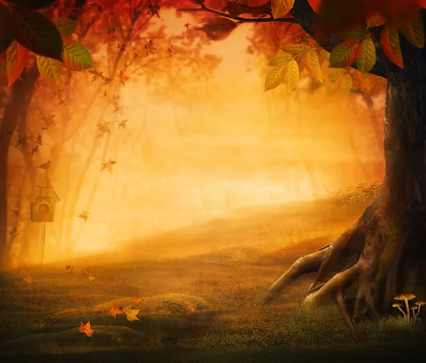 Осенний дизайн - лес в падении — стоковое фото