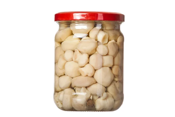Банк консервированные грибы белые, изолированные на белом фоне — стоковое фото